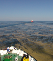 Forschungsschiff auf der Ostsee