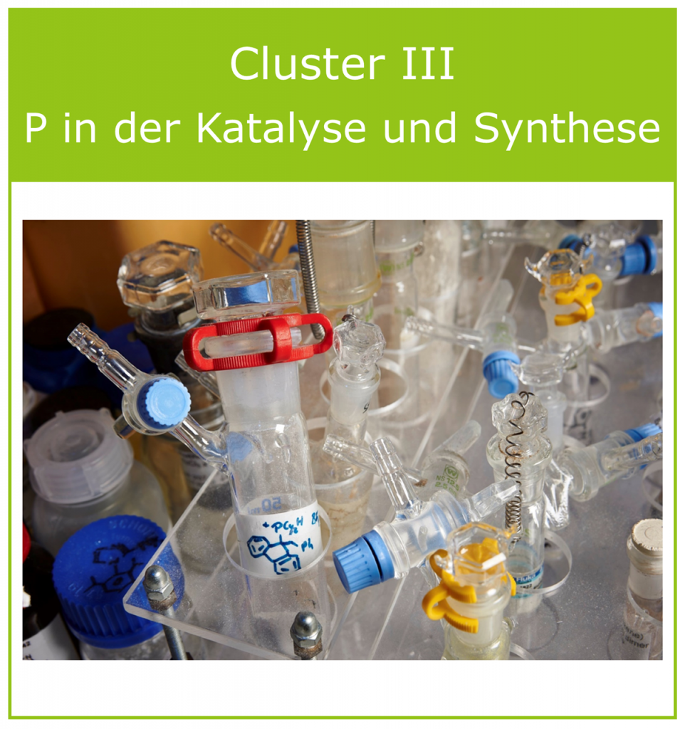 Cluster III